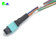 MPO Trunk Cable OM3 24F MPO Male to LC UPC Fanout 0.9mm 50 / 125μm 0.3m Aque LSZH