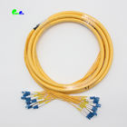 24 Core Single Mode Fanout Fiber Optic Patch Cord LC UPC Pre Terminated Cable